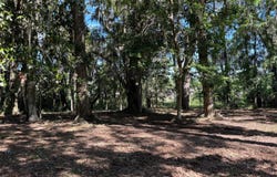 121 Salt Creek, Savannah, GA 31405