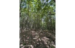 L11 C Buel Road, Conesville, NY 12076