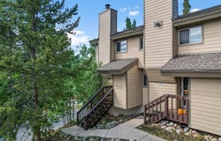 6941 RYAN GULCH ROAD, Silverthorne, CO 80498