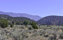 1167 Out-R-Way lot: 1, Gardnerville, NV 89410