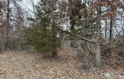 Lot 2 Deer Meadows Lane, Yellville, AR 72687