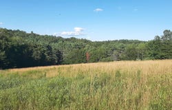 003 Massey Road, Springfield, VT 05156