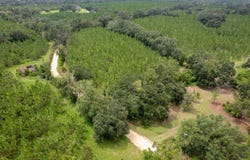 NE Geranium Street, Madison, FL 32340