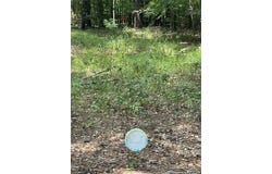 0 Ranchland Drive, Grand Cane, LA 71032