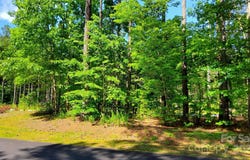 Loblolly Lane unit: 24/23/22, Mill Spring, NC 28756