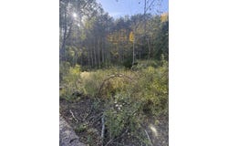 Loucks Road, Galeton, PA 16922