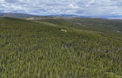 TBD FS Road 195, Red Feather Lakes, CO 80545