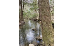 0 Lone Wolf Trail, Spencer, TN 38585