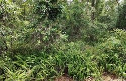 8504 E Henderson Trail, Inverness, FL 34450