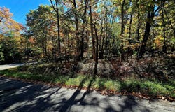 Chestnut Street W, Wurtsboro, NY 12790