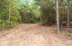 2705 Pilgrims Rest Road, Magnolia, MS 39652