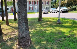 15 ROUZER COURT, THURMONT, MD 21788
