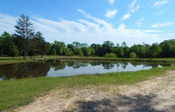 6620 FM 1795, Gilmer, TX 75644