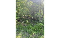 LAKE JOHN Road, LAKEWOOD, WI 54138