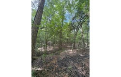 Tbd FM 3359, Carthage, TX 75633