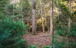 4 Haleys Way, Forestdale, MA 02644