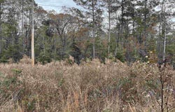 TBD Parkwood Avenue 4, North, SC 29112