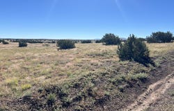 079A-079B Circle Drive, Concho, AZ 85924