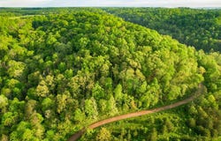 0 E Little Forest Run Rd., Reedsville, OH 45772