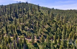 Forest Service Rd 542, Lowman, ID 83637