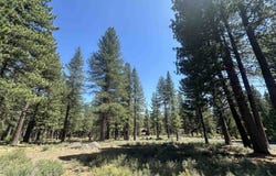 11651 Bottcher Loop, Truckee, CA 96161