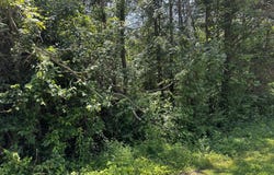 1995 Bluebird Circle, Morristown, TN 37814