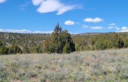 Alder, MT 59710