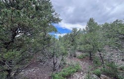 Lot 61 Upper Pinabete, Questa, NM 87556