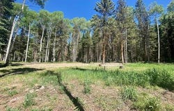 1772 Spruce Drive, Cimarron, CO 81220