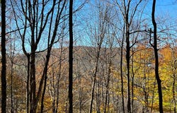 Delaware Avenue lot: 149.20-2-3, Delhi, NY 13753