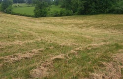 9999 McGill Wyan Road, London, KY 40744