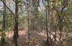00 N Lily and Hwy 60 Highway, Houston, AR 72070