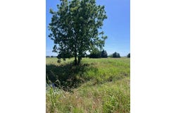 00 HWY 287, Kerens, TX 75144