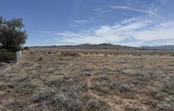 Rock Road, Yerington, NV 89447