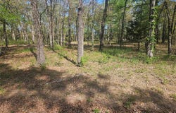 132 PR 44053, Powderly, TX 75473