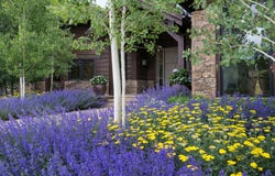 212 SUN PEAK Dr, Sun Valley, ID 83353
