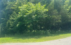 Spring Lane, Philadelphia, TN 37846