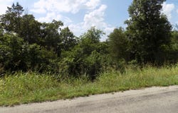 Tbd Cane Creek Road, Kissee Mills, MO 65680