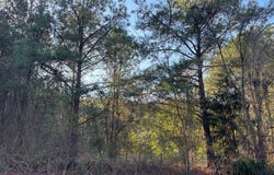 Hamilton Drive, Albany, GA 31721