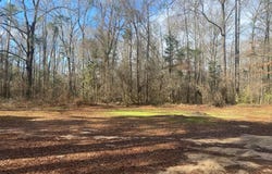 3481 County Rd 81, Abbeville, AL 36310