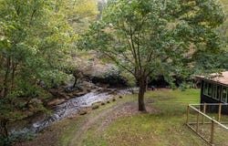214 Chin Tree Rd, Sylva, NC 28779