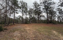 Black Squirrel Road E, Brookeland, TX 75931