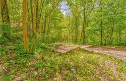 418 Dunaway Gap NE, Summerville, GA 30747