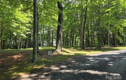 Vista Ridge Road lot: 13, Fleetwood, NC 28626