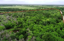 County Road 666, Kosse, TX 76653