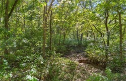 80+/-Acres Proctor Lane, Gravois Mills, MO 65037