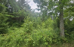 00 COUNTY ROAD H, Irma, WI 54442