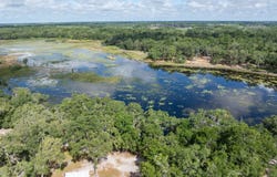 262 SE SEYMOUR DRIVE, Mayo, FL 32066