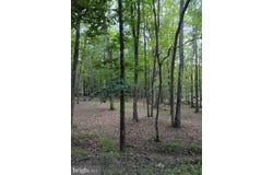 0 CHESTNUT DRIVE, HAZLETON, PA 18202
