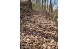 Little Elk Creek Rd, Pioneer, TN 37847